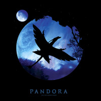 Avatar Pandora Planets Na'vi Flight T Shirt Youth Hoodie | Artistshot