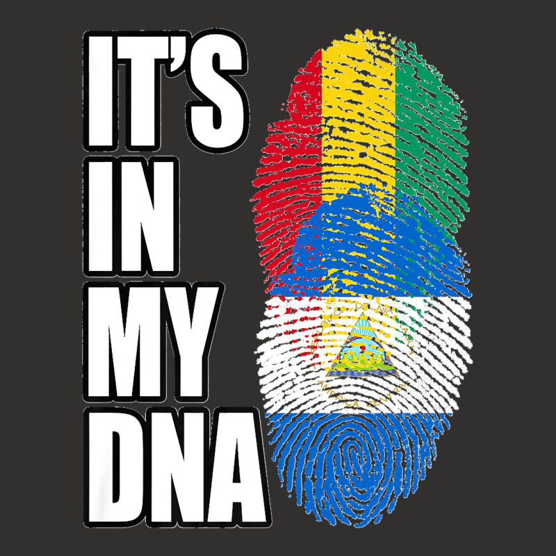 Nicaraguan And Guinean Mix Dna Flag Heritage Premium Champion Hoodie | Artistshot