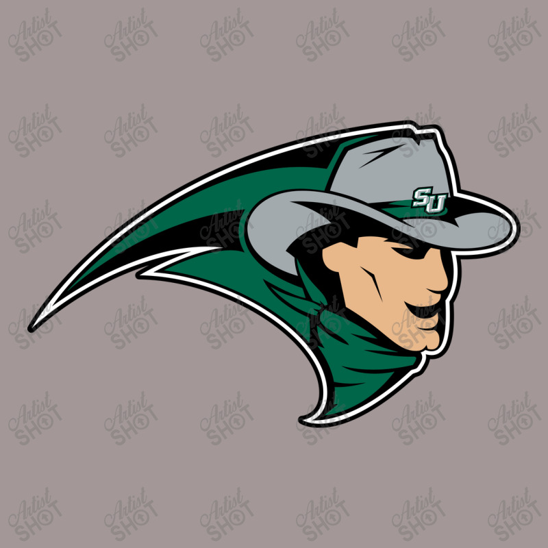 Stetson College Hatters Design 1 Vintage Hoodie | Artistshot