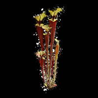 Sarracenia Flava Red Carnivorous Plants T Shirt Pocket T-shirt | Artistshot