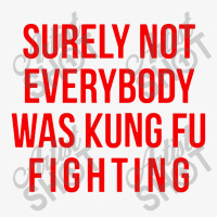 Surely Not Everybody Was Kung Fu Fighting Ladies Fitted T-shirt | Artistshot