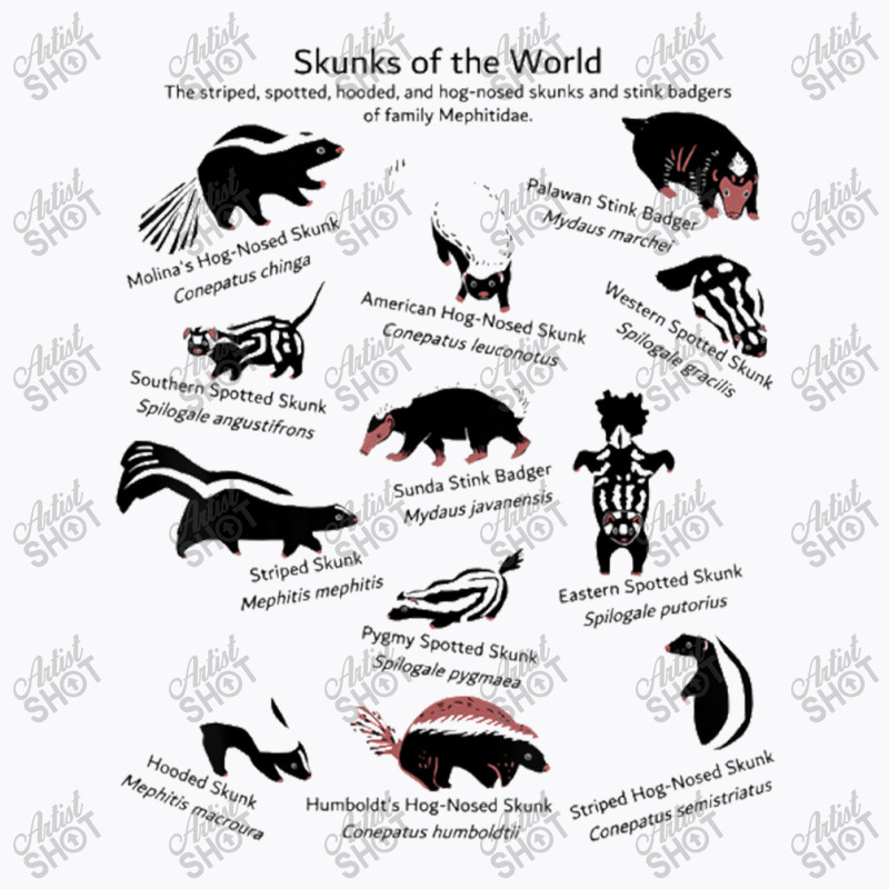 Skunks Of The World Species Of Mephitidae T-shirt | Artistshot