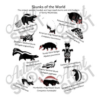 Skunks Of The World Species Of Mephitidae V-neck Tee | Artistshot