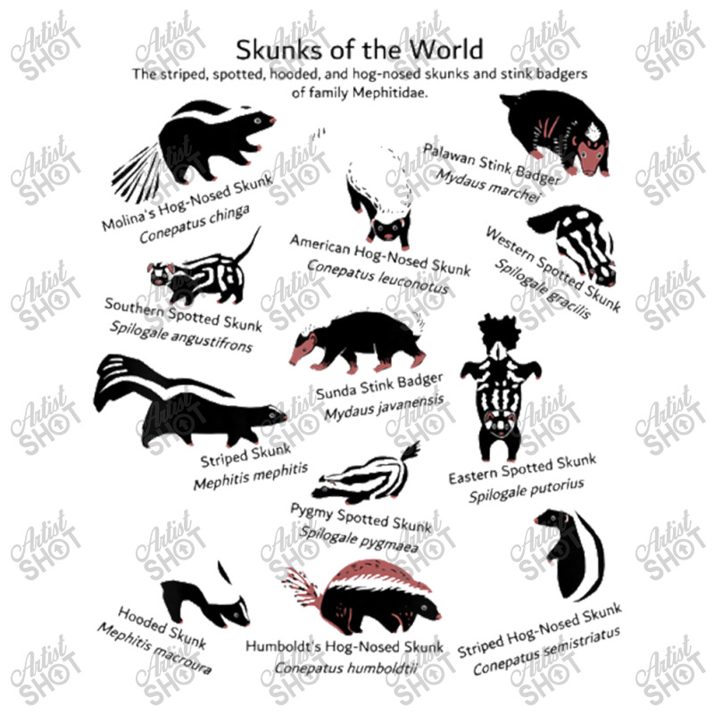 Skunks Of The World Species Of Mephitidae V-neck Tee | Artistshot