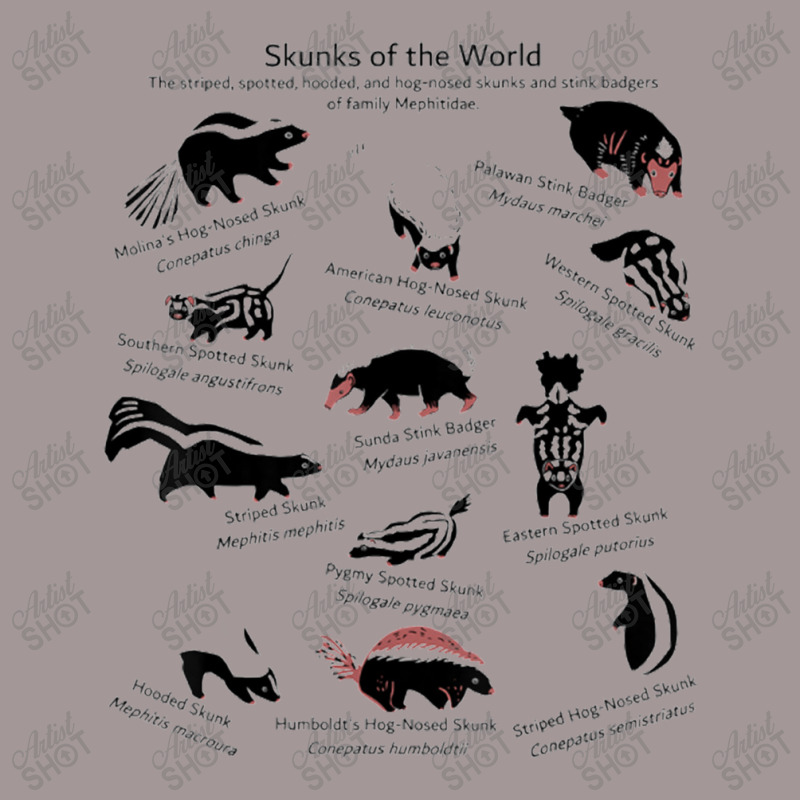 Skunks Of The World Species Of Mephitidae Vintage Short | Artistshot