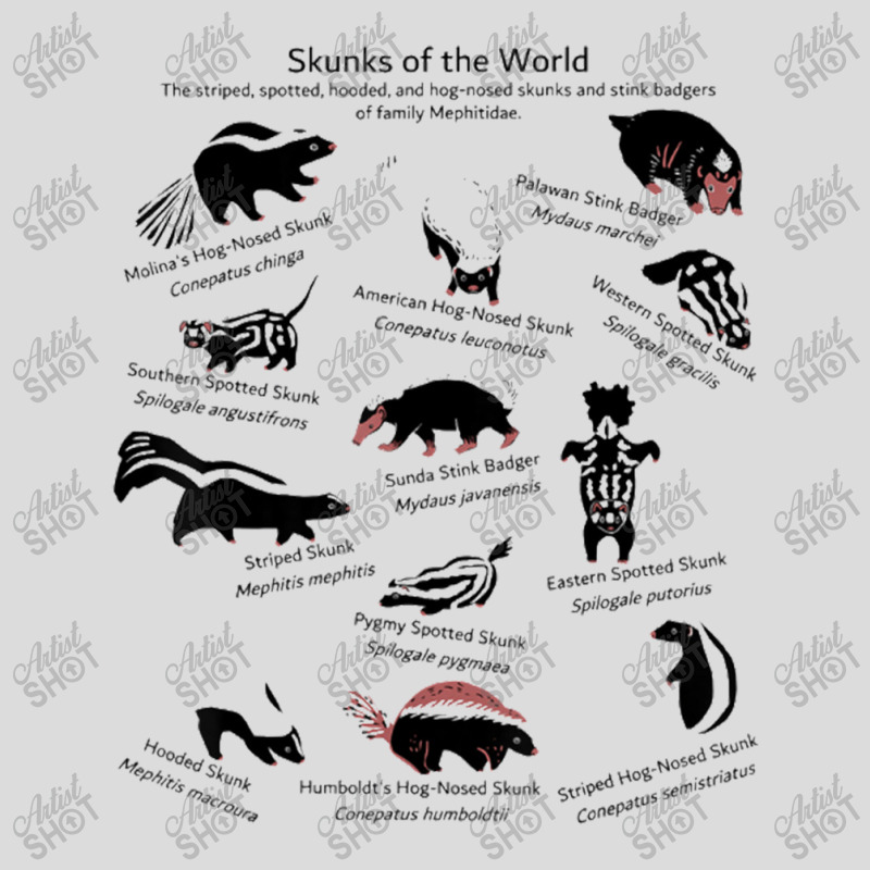 Skunks Of The World Species Of Mephitidae Men's Polo Shirt | Artistshot