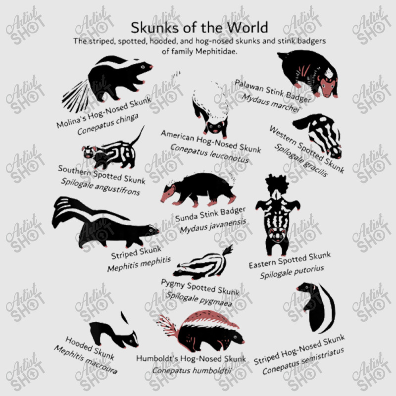 Skunks Of The World Species Of Mephitidae Unisex Jogger | Artistshot