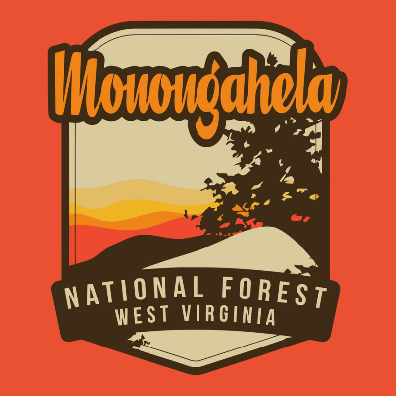 Monongahela National Forest Ladies Fitted T-Shirt by cm-arts | Artistshot