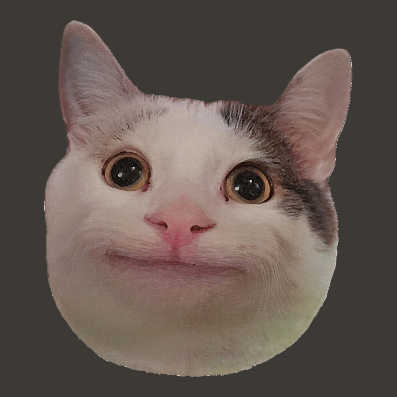 Beluga Cat Meme Face Smiling | Pin