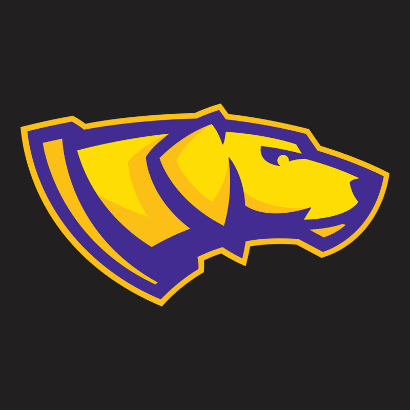 Uw–stevens Point T-shirt | Artistshot