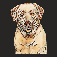 Labrador Retriever Dog On Isolated White Background In Studio Ladies Fitted T-shirt | Artistshot