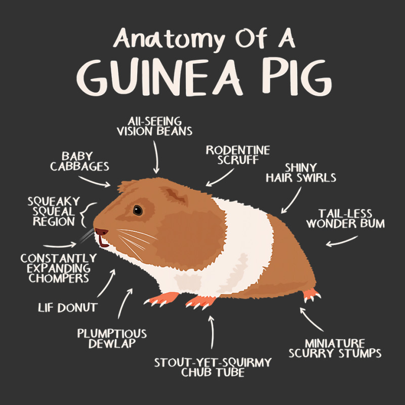 Anatomy Of A Guinea Pig Clothes Cavy Outfit Gift Guinea Pig Baby Bodysuit | Artistshot