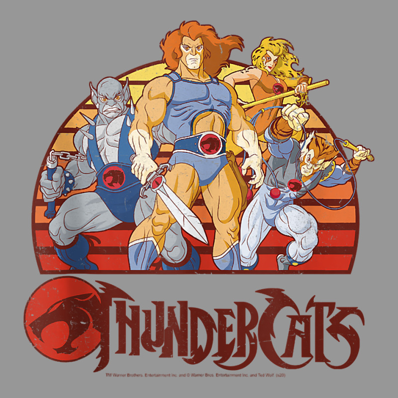 Thundercats Group Retro Sunset Tank Top Women's V-Neck T-Shirt by nuzhetanopo | Artistshot