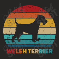 Welsh Terrier Vintage, Welsh Terrier Ladies Fitted T-shirt | Artistshot