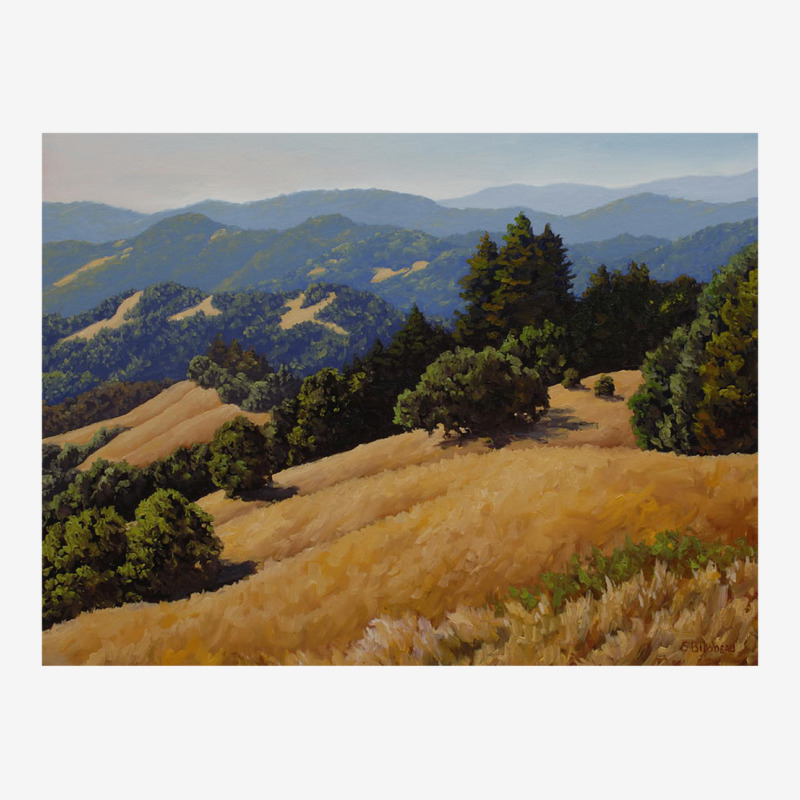 Sonoma Landscape Youth 3/4 Sleeve by cm-arts | Artistshot