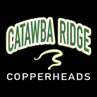 Catawba Ridge High School Copperheads Toddler Sweatshirt | Artistshot