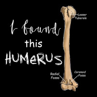 I Found This Humerus - Humerus Doctor Nurse Bone For Fans Lightweight Hoodie | Artistshot