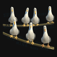 Mine! Seagulls From Finding Nemo Landscape Canvas Print | Artistshot