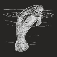 Manatee Illustration Sea Cow Marine Mammal Friendly Manatee For Fans Ladies Fitted T-shirt | Artistshot