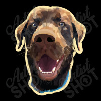 Dog Excitement Women's V-neck T-shirt | Artistshot