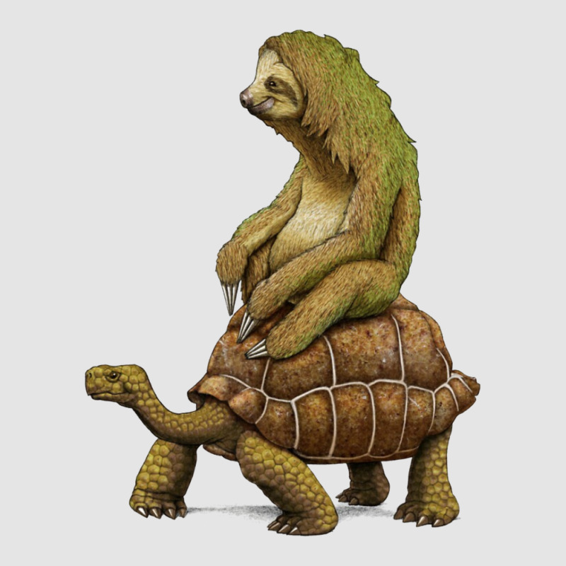 Sloth Riding Turtle Funny Exclusive T-shirt | Artistshot