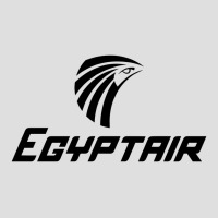 Egyptair V-neck Tee | Artistshot