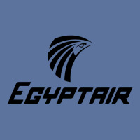 Egyptair Lightweight Hoodie | Artistshot