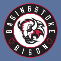 Basingstoke Bison Lightweight Hoodie | Artistshot