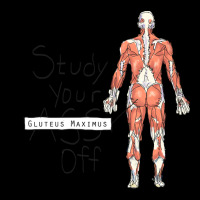 Study Your Gluteus Maximus Off Zipper Hoodie | Artistshot