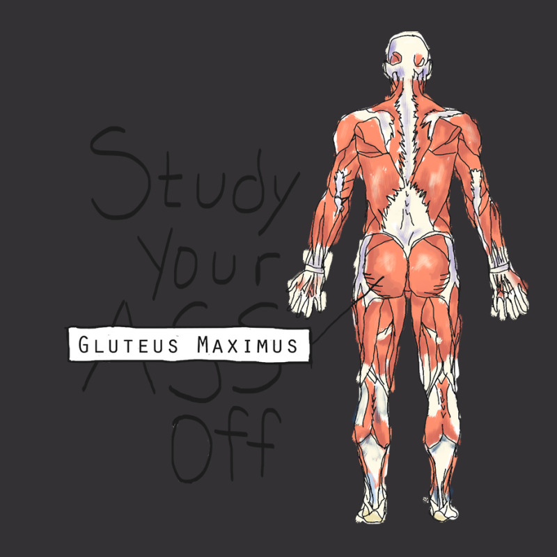 Study Your Gluteus Maximus Off Vintage Short by cm-arts | Artistshot