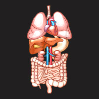 Halloween Internal Organ Diagram Anatomy T-shirt | Artistshot