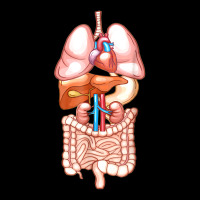 Halloween Internal Organ Diagram Anatomy V-neck Tee | Artistshot