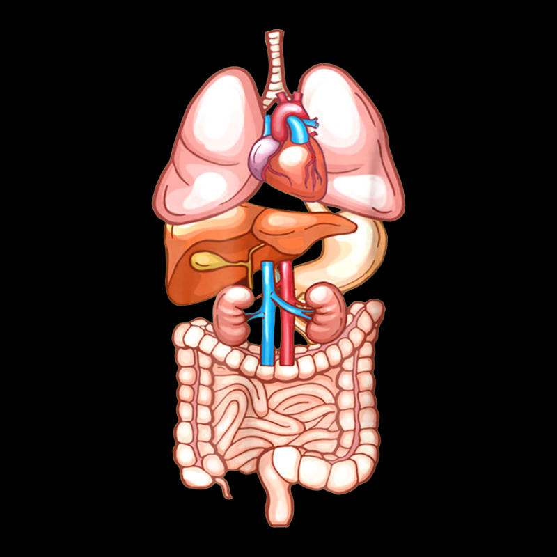 Halloween Internal Organ Diagram Anatomy V-neck Tee | Artistshot