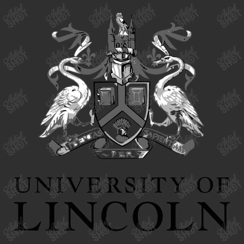 U Of Lincoln Academic Champion Hoodie | Artistshot