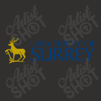 U Of Surrey Academic Champion Hoodie | Artistshot