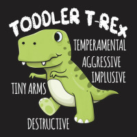 Dinosaur Gift Toddler T-rex Cute Birthday Kids Boys T-shirt | Artistshot