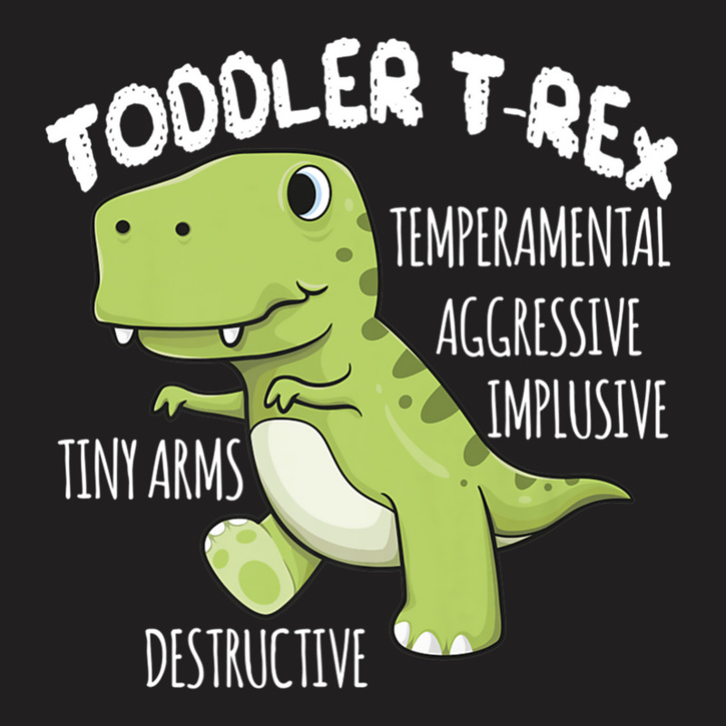 Dinosaur Gift Toddler T-rex Cute Birthday Kids Boys T-shirt | Artistshot