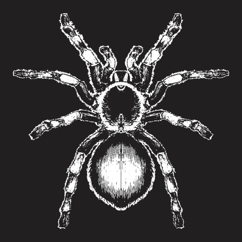 Tarantula Huge Spider Phobia Halloween Costume Arachnophobia T-shirt | Artistshot