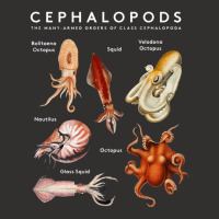 Kinds Of Octupus, The Cephalopod Octopus, Sea Creatures, Kinds Of Octu Champion Hoodie | Artistshot