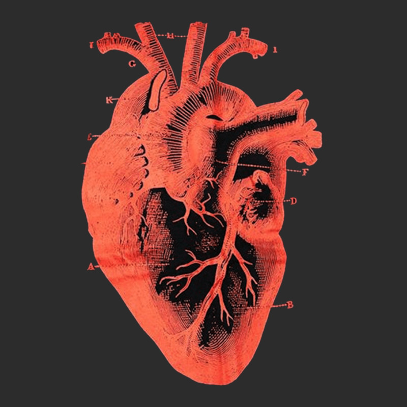 Anatomic Vintage Heart, Anatomic Vintage Heart Art, Anatomic Vintage H Exclusive T-shirt | Artistshot