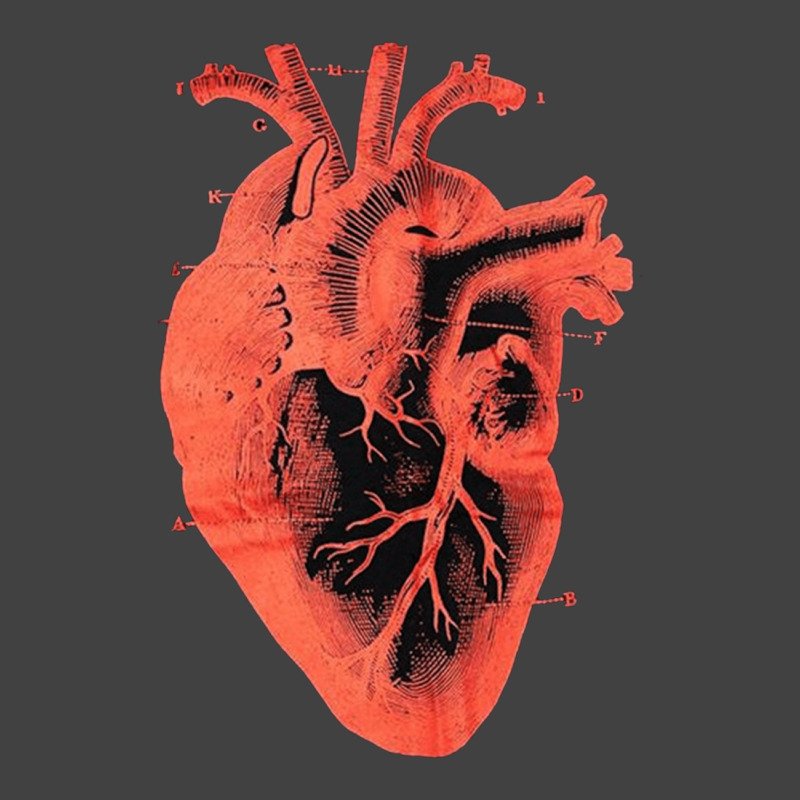 Anatomic Vintage Heart, Anatomic Vintage Heart Art, Anatomic Vintage H Vintage T-shirt | Artistshot