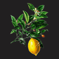 Lime Flower And Lemon, Lime Flower Lemon, Lemon, Lime Flower, Lime, Fl T-shirt | Artistshot