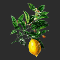 Lime Flower And Lemon, Lime Flower Lemon, Lemon, Lime Flower, Lime, Fl Exclusive T-shirt | Artistshot