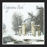 Coppertone Park Album Cover 3/4 Sleeve Shirt | Artistshot