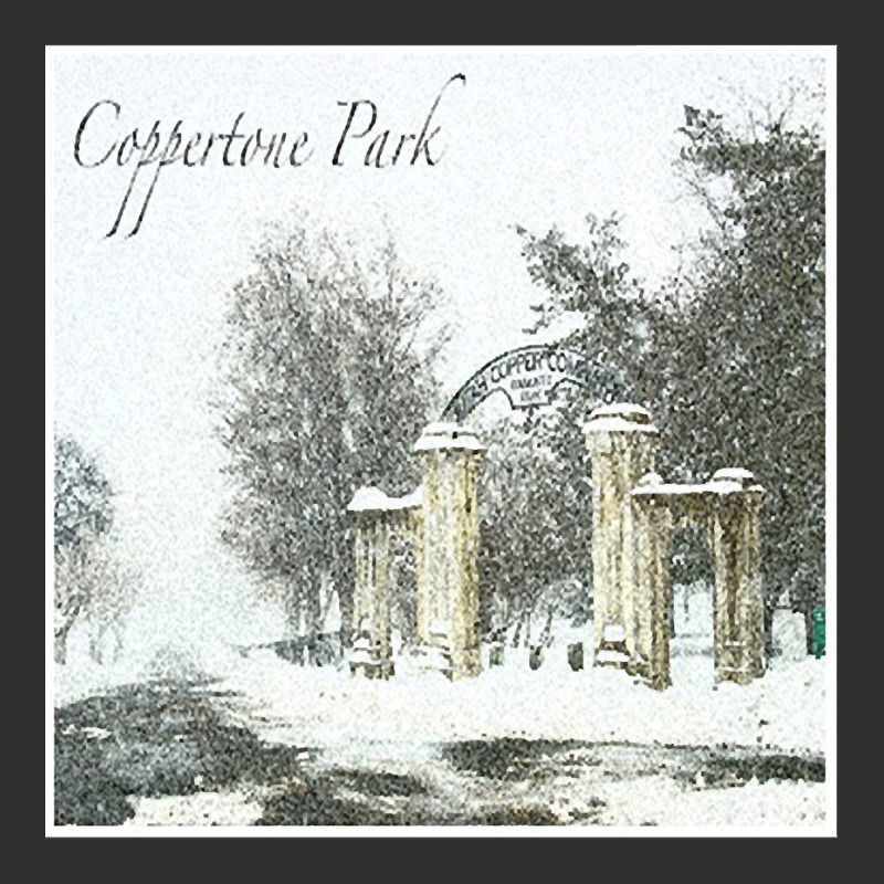 Coppertone Park Album Cover Champion Hoodie by CrystalCroft | Artistshot