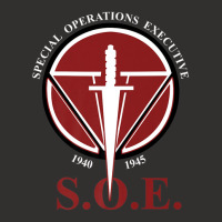 S.o.e. Special Operations Executive Wwii British Specops Champion Hoodie | Artistshot