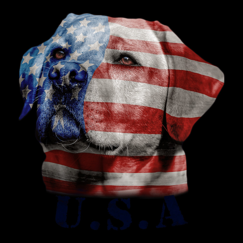 Vintage American Flag Labrador, Working Dog, Usa Maternity Scoop Neck T-shirt by JoscelyneMewes | Artistshot