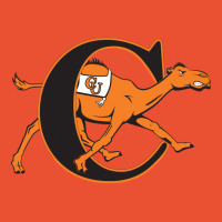 Campbell Fighting Camels Ladies Fitted T-shirt | Artistshot