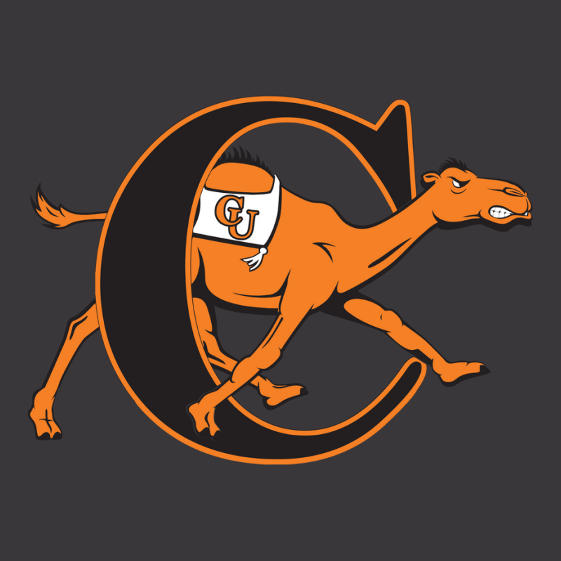 Campbell Fighting Camels Ladies Curvy T-Shirt by MotorArt | Artistshot