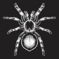 Tarantula Huge Spider Phobia Halloween Costume Arachnophobia T-shirt | Artistshot